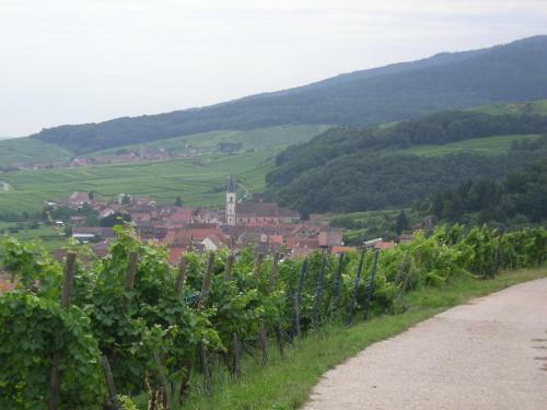 Gites Chez Le Vigneron
