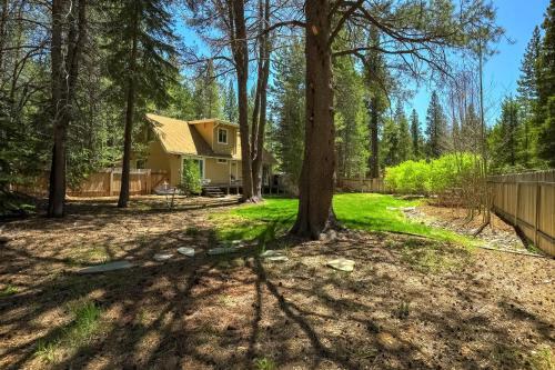 Stout House Cabin