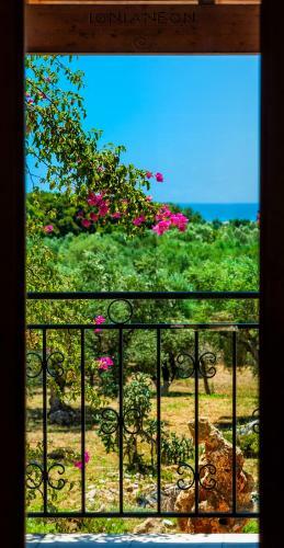 Ionianeon Apartments