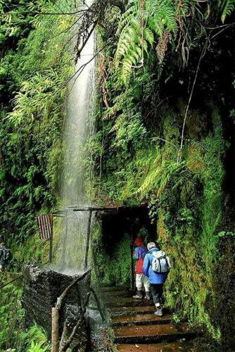 Casa De S�o Gon�alo