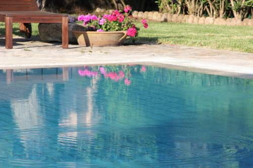 Stone Rose Villa