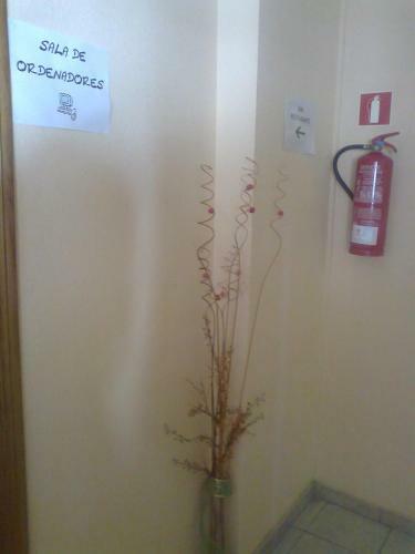 Hostal El Peregrino