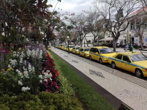 Hostal Funchal Apartments - City View