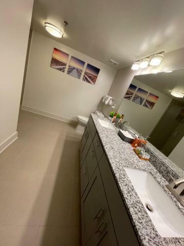 Apartamento Create, Manifest, Restore Suites