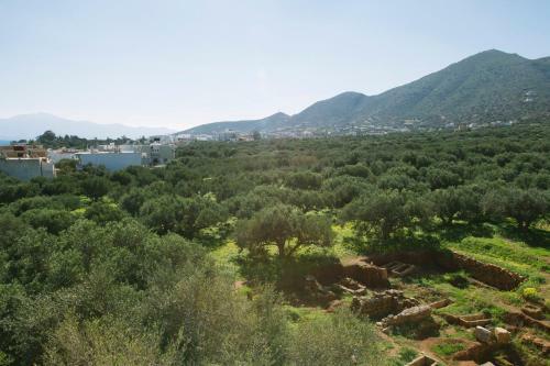 Apartamento Elounda George Studios