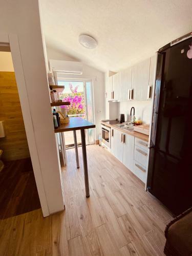 Apartment Elena