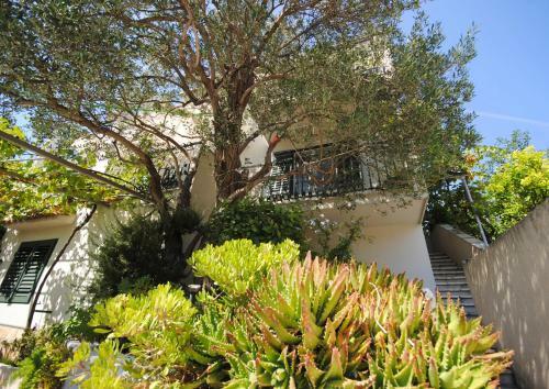 Apartamento Summer Residence Near The Sea