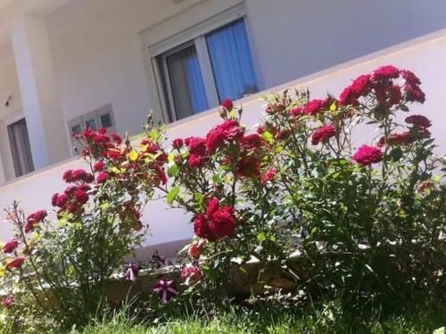 Hostal Villa Marki?