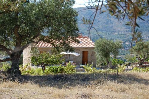 Agroturismo Casa Da Carri�a - Serra Da Estrela