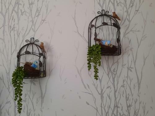 Bed & Breakfast Smiling Places - Guest House In Labruge