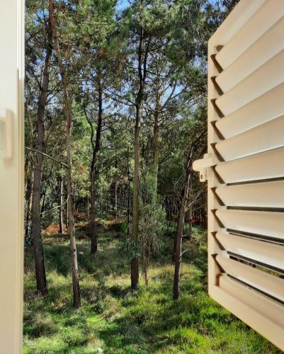 Bed & Breakfast Smiling Places - Guest House In Labruge