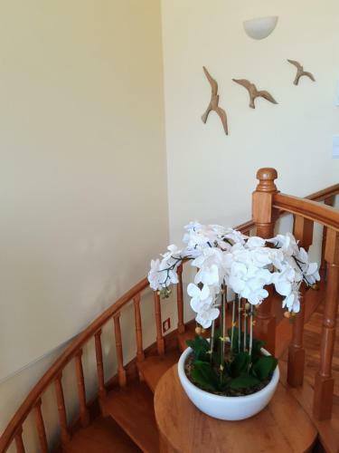 Bed & Breakfast Smiling Places - Guest House In Labruge