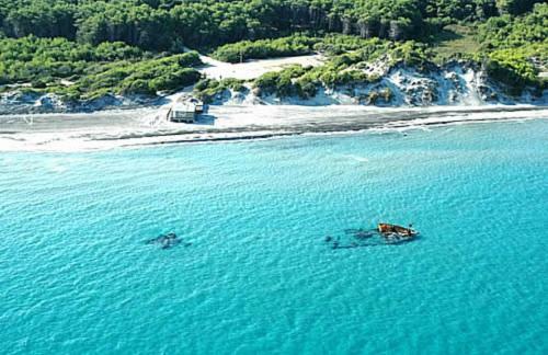 Centro Vacanze La Pineta