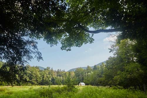 Tentrr Signature Site - High Peak Meadows Camp Ny