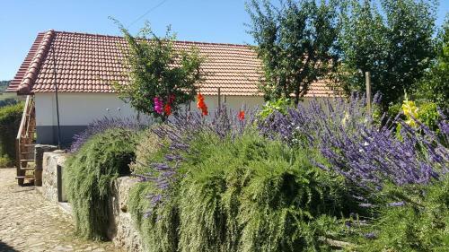 Apartamento Quinta Do Acipreste (Antiga Quinta Da Torre)