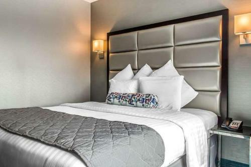 Umbrella Hotel Bronx