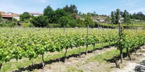 My Portugal For All - Lousada Villa