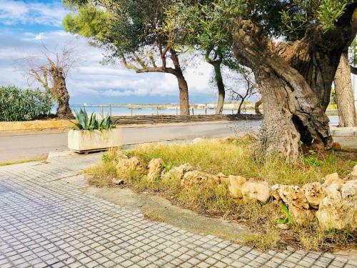 Apartamento Villa Gaud�