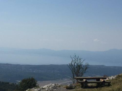 Casa Matea With Pool, Jacuzzi & Souna In A Green Oasis, Kvarner