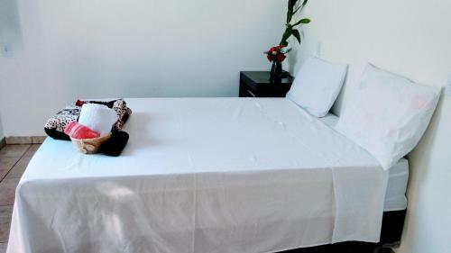 Hostal Minha Casa Em Botucatu Ap4