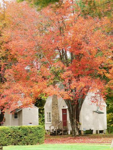 Gilcrest Cottages And Motel