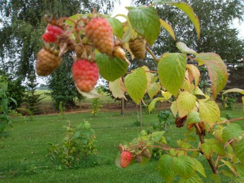 Bed & Breakfast Hof Van Lutten