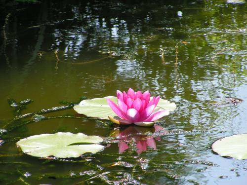 Bed & Breakfast Hof Van Lutten