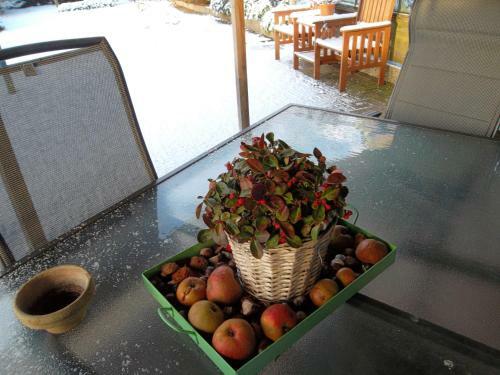 Bed & Breakfast Hof Van Lutten