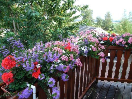 Bed & Breakfast Hof Van Lutten
