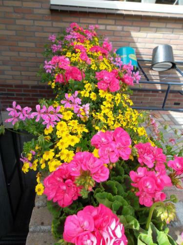 Bed & Breakfast Hof Van Lutten