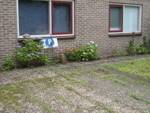 Bed & Breakfast Huize De Rode Beuk