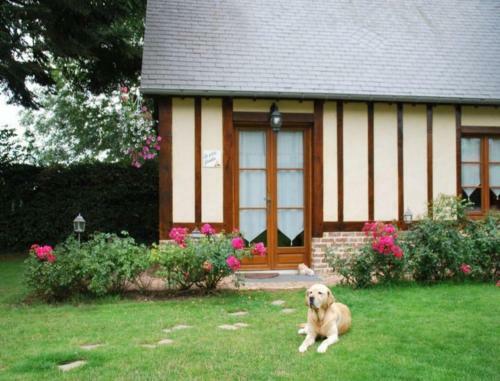 Bed & Breakfast Chambres D'h�tes La Petite Flamb�e