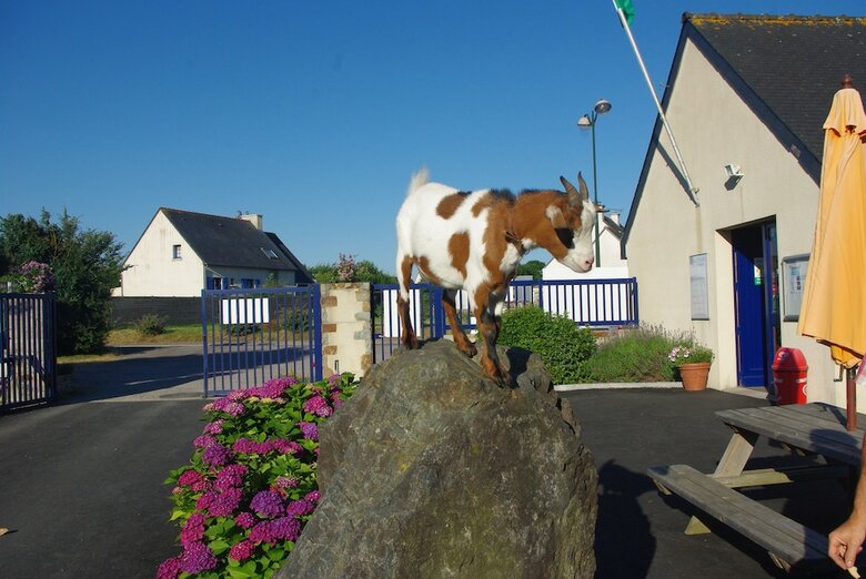 Camping Le Domaine Des Jonquilles