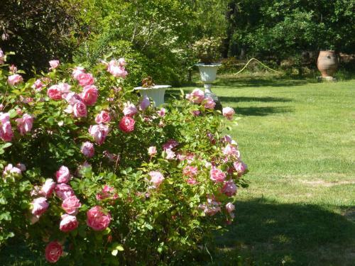 Bed & Breakfast Domaine Du Planas