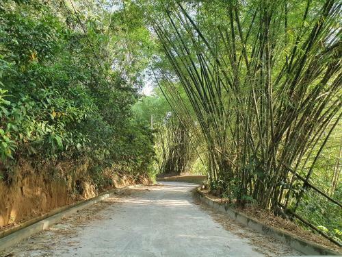 Casa de Campo Em Condom�nio Fechado