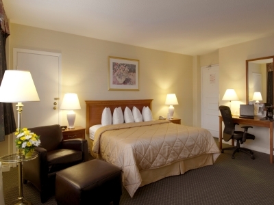 Comfort Hotel Downtown