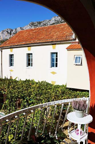 Apartamento Roso
