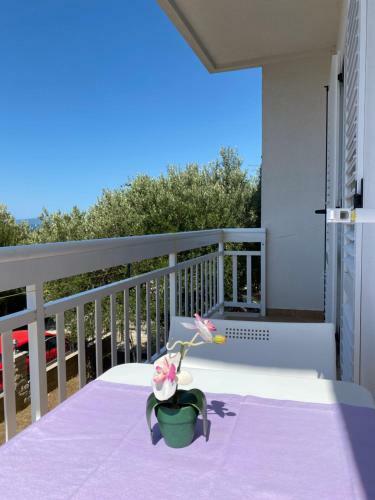 Apartamento Mirta