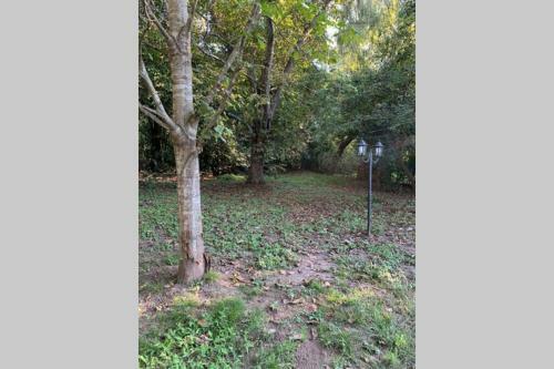 Casa Entera Con Parque Y Pileta Privados