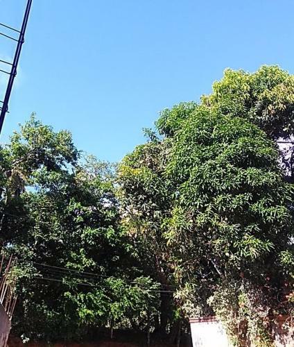 Casa Em Monte Gordo - Litoral Norte Da Bahia