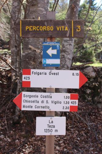 Hotel Rosalpina