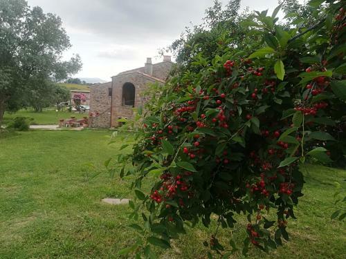 Agroturismo Azienda Agrituristica Le Chiuse