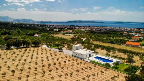 Villa Olive`s Secret