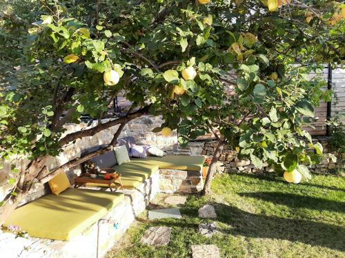 Villa Vrh Knje?aka - With Heated Pool