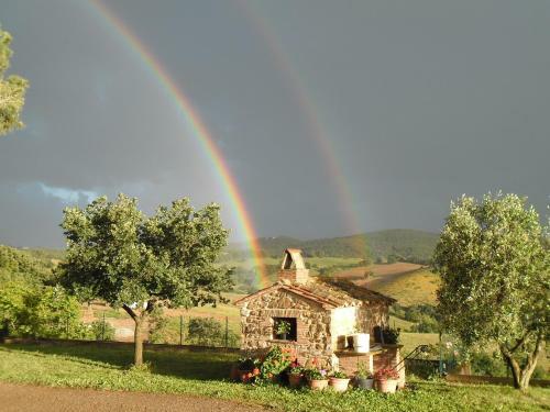 Agroturismo Poggio Petrella