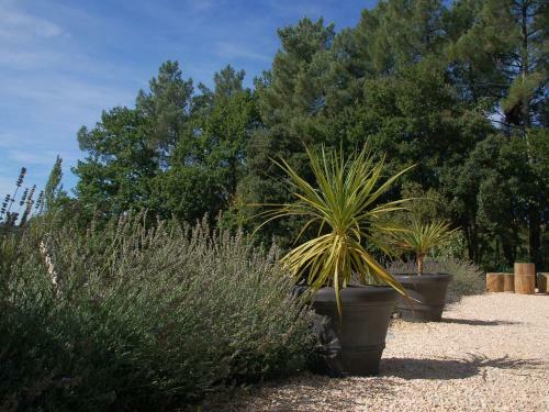 Villa Lavandula