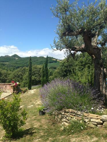 Agroturismo B&B La Pace