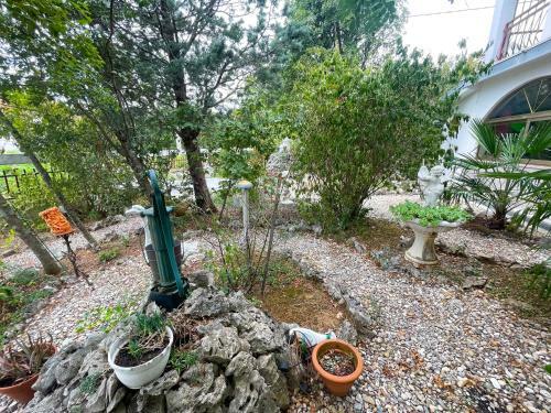 Apartman Vi?nja