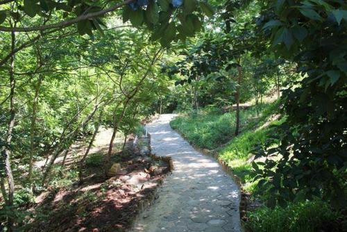 Aldeia Do Lago Apart