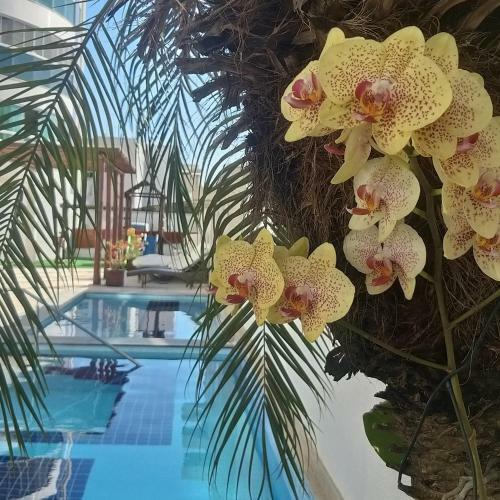 Apartamento Flat Fiore Prime Style - Extens�o Do Seu Lar